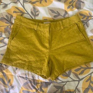 Loft Shorts